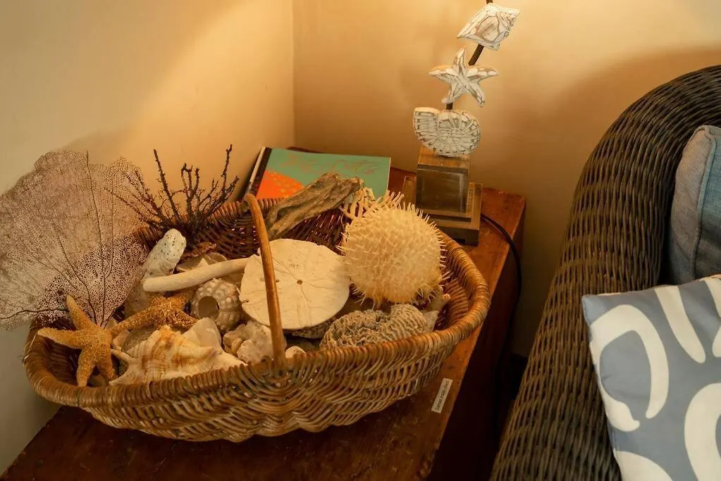 Private Villa & Pool, Christ Church Barbados